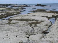 Albums/20060200-New Zealand 2006/20060318-Kaikiura/19